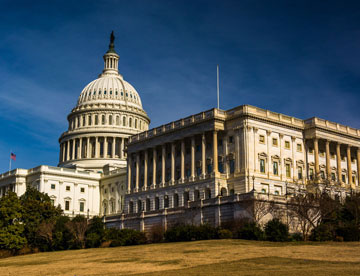 white-house